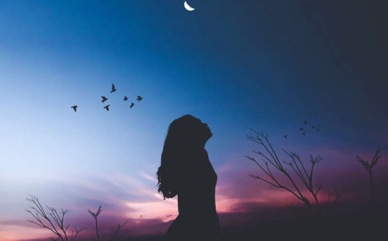 Searching for peace
