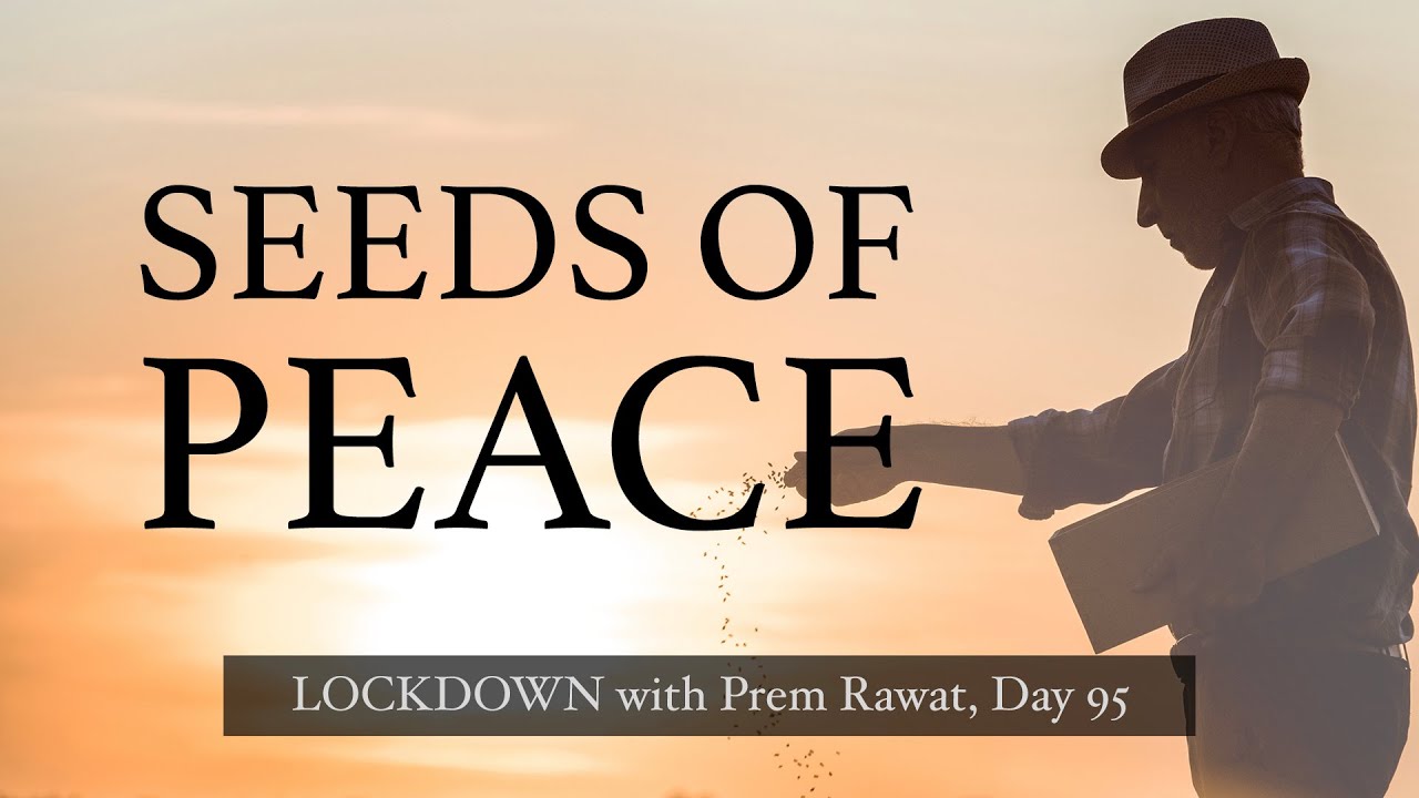 In quarantena con Prem Rawat – 95° giorno