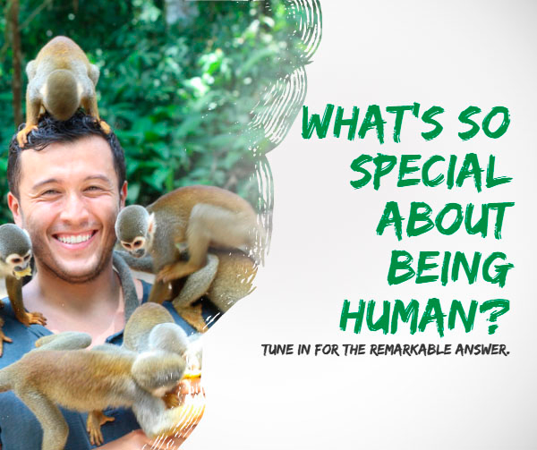 “Life’s Essentials with Prem Rawat” Podcast Series 4 – Episode 2: The Composition that Makes You Human
