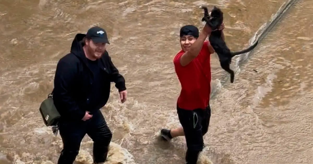 prem-rawat-hlep-tprf-hurricane-helene-2024-tprf-3 The River Arts District of Asheville was flooded by Hurricane Helene. The Prem Rawat Foundation is providing humanitarian aid to victims.