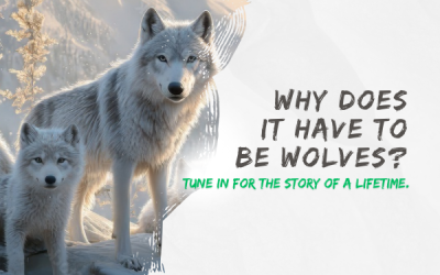 Lifes Essentials with Prem Rawat Season 6  Episode 11  Why does it have to be wolves?