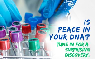 Lifes Essentials with Prem Rawat Season 6  Episode 14   Is peace in your DNA?
