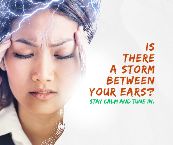 Is there a storm between your ears?  Lifes Essentials with Prem Rawat Season 6  Episode 29