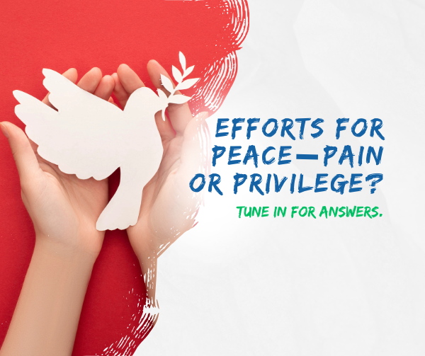 Efforts for peace—pain or privilege?  Lifes Essentials with Prem Rawat Season 6  Episode 45